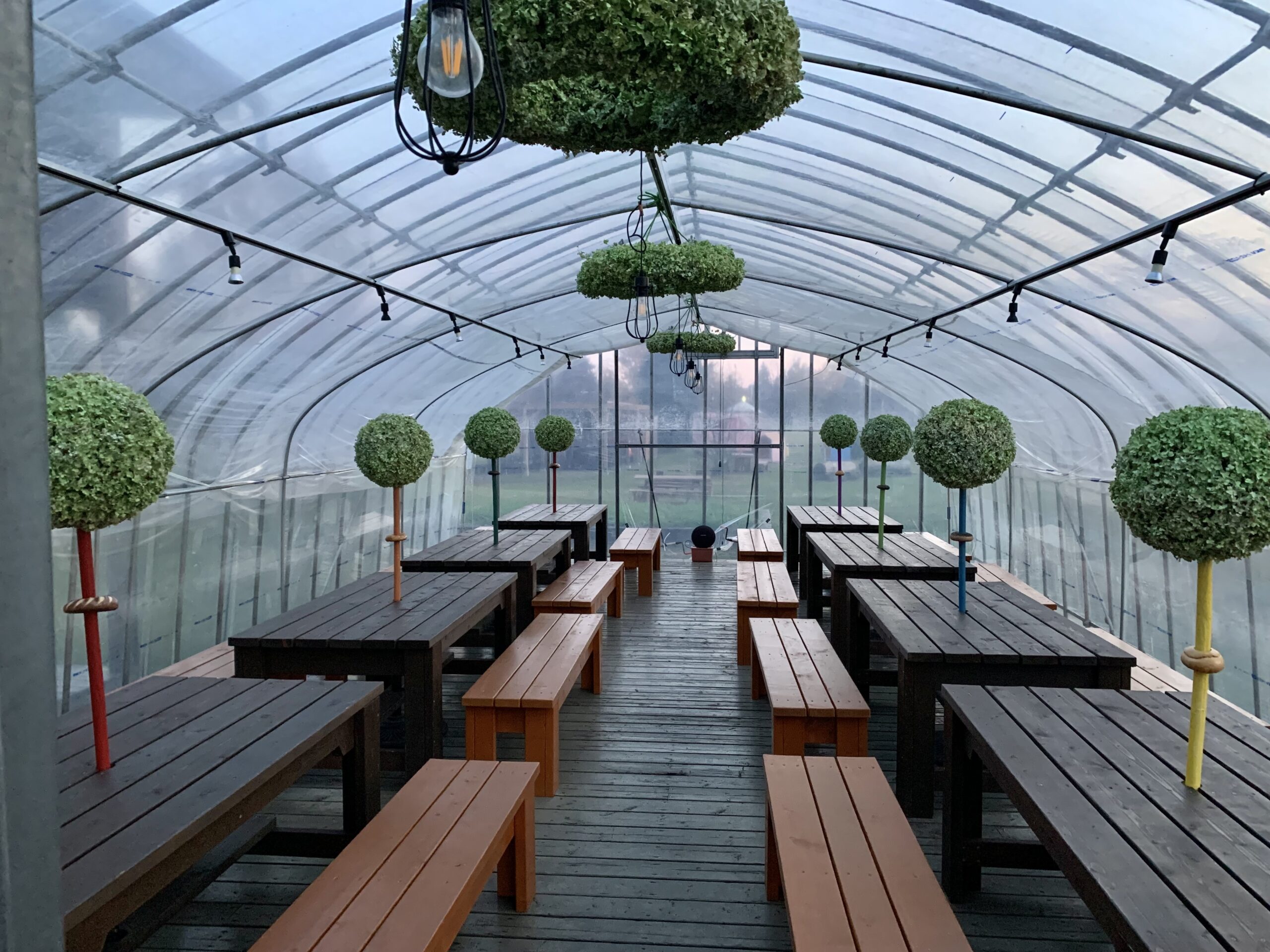 ビニールハウスとお花