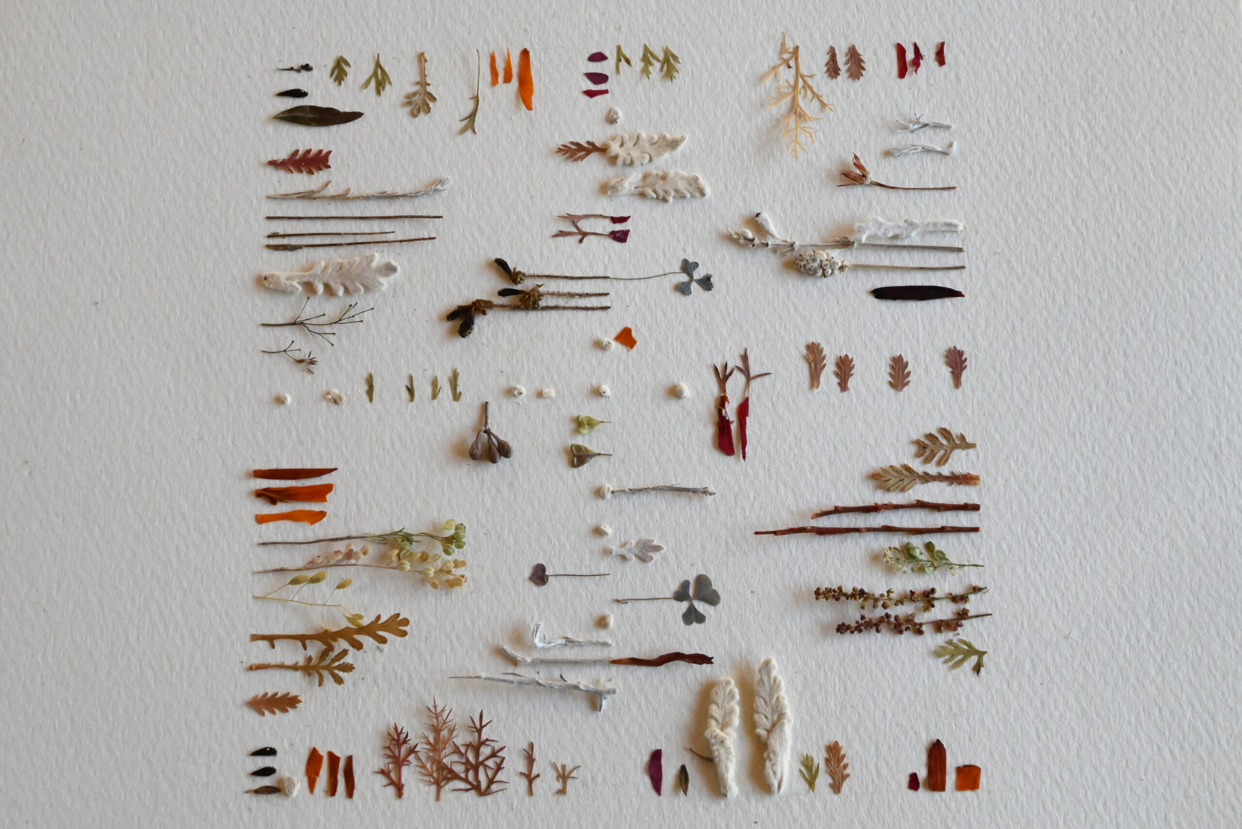 スクエアープラス