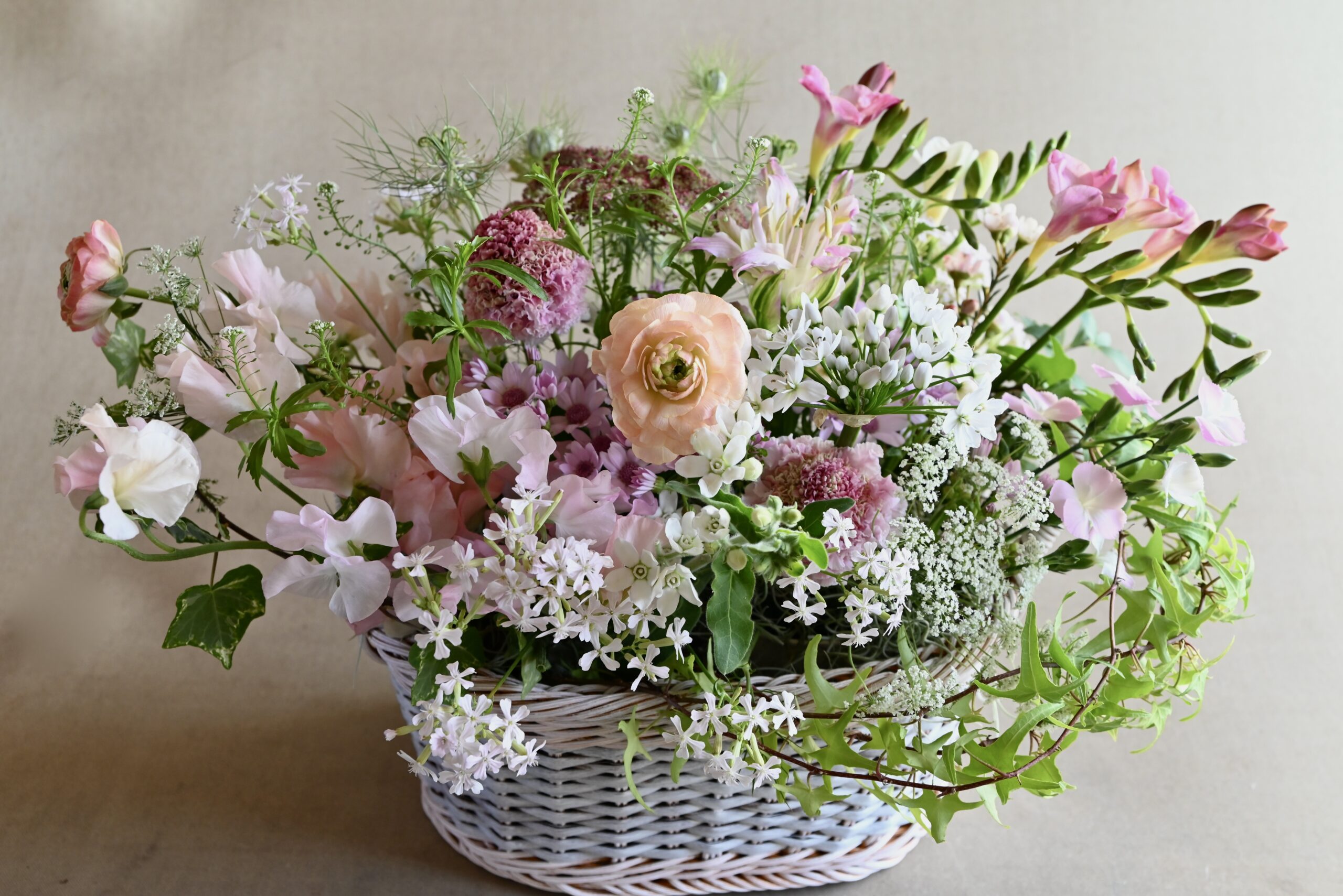 桃の節句札幌の旅